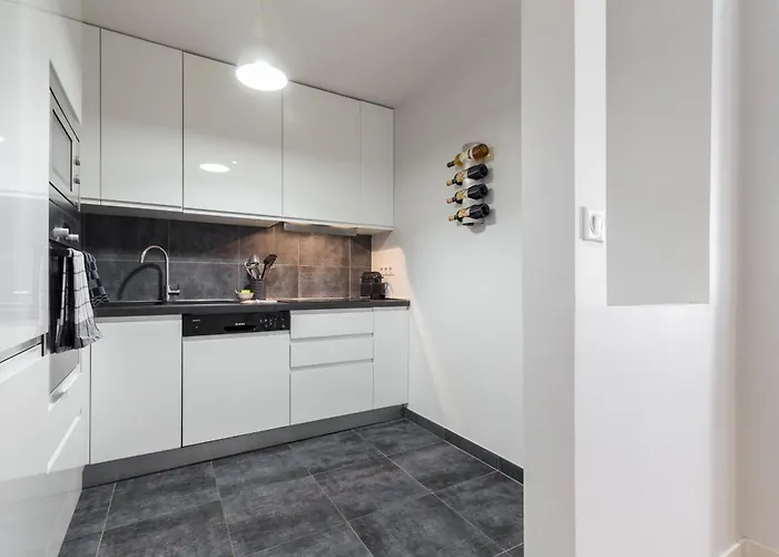 Ultra Large 2 Bdr Near Massena Square Niza